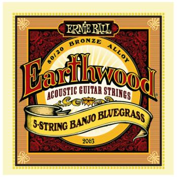 Ernie Ball Earthwood 80/20 Bronze Loop End Banjo Strings (EB-2063)