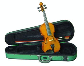 Musino 2000 Student Series Violin Outfit (MU-MTR-VN20)