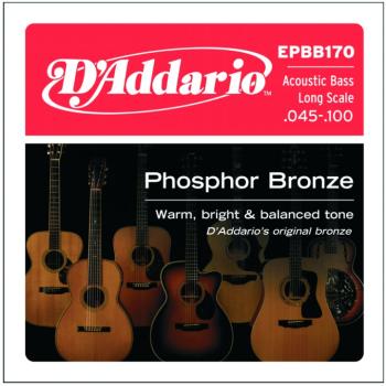 D'Addario 4 String Acoustic Bass Strings (DD-EPBB170)