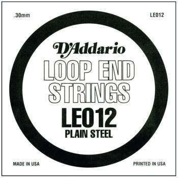 D'Addario Plain Steel Loop End Strings, .012 (10) (DD-LE012)
