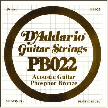 D'Addario Phosphor Bronze Single String, .022 (5) (DD-PB022)