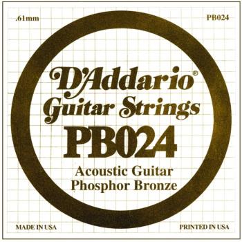 D'Addario Phosphor Bronze Single String, .024 (5) (DD-PB024)